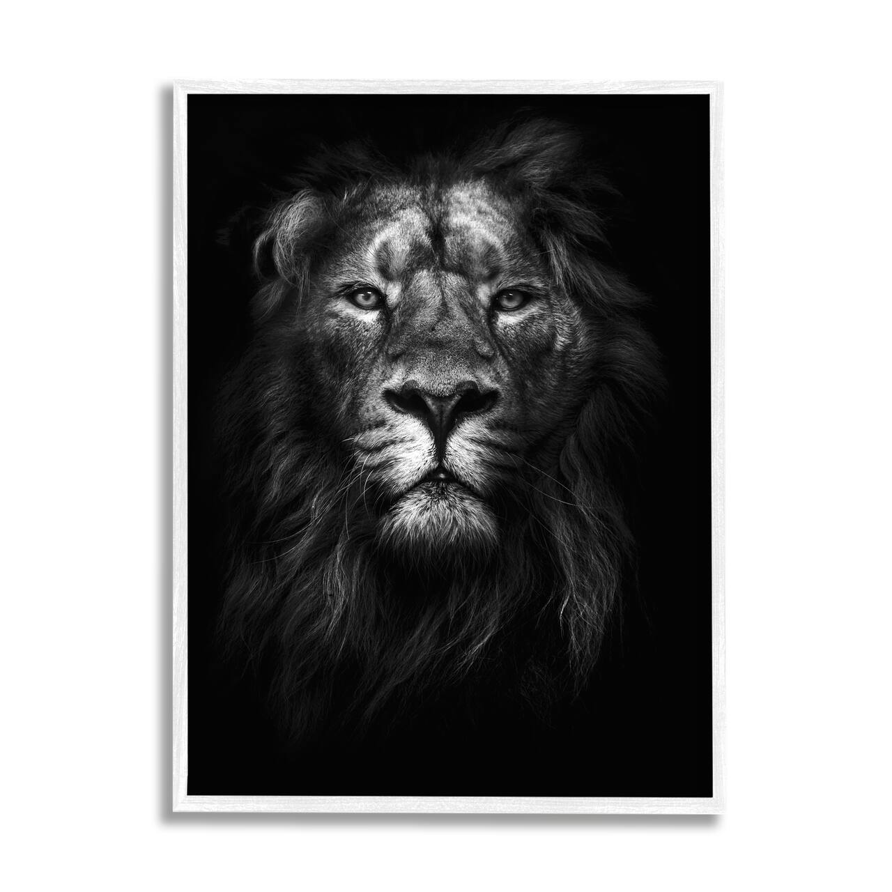 Stupell Industries Lion in Shadows Wall Accent with White Frame